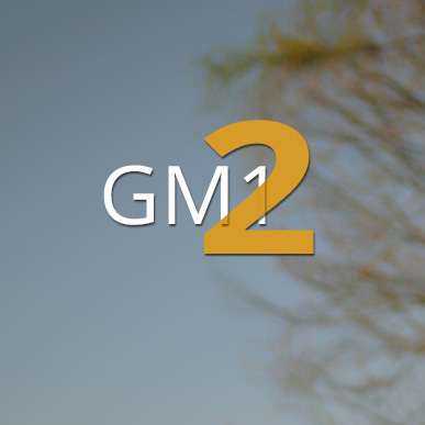 GM1-2-Icon Lea by Val Mont